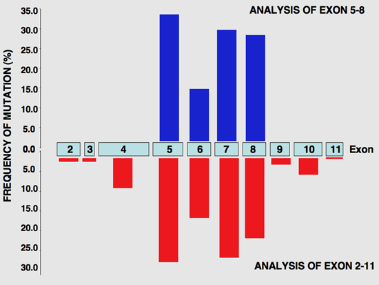 p53_database