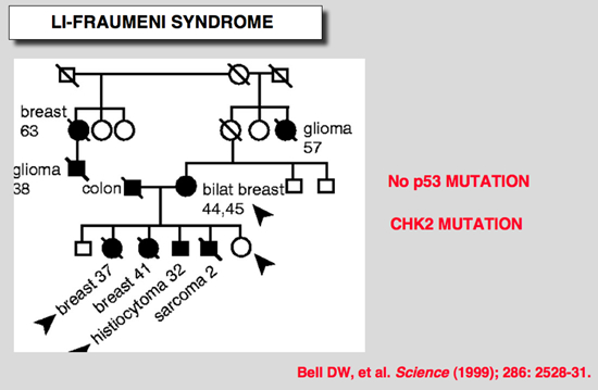 p53_cancer_Li_Fraumeni