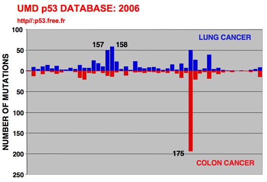 p53_cancer_lung