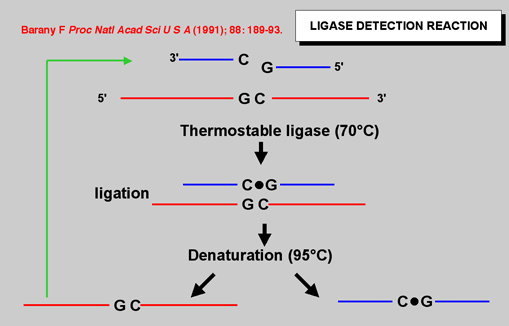 Figure 2: Using thermostable DNA ligase dramatically improves the 