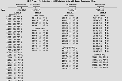 p53_LDR