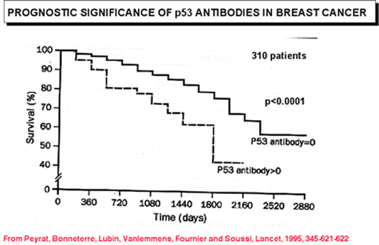 p53_Abs