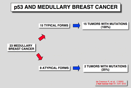 Medullary_p53